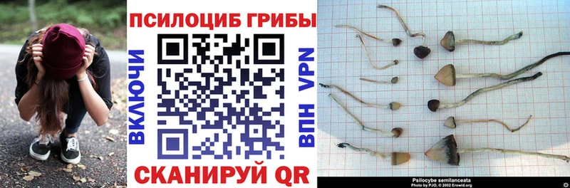 Псилоцибиновые грибы Cubensis  ОМГ ОМГ онион  Белозерск 